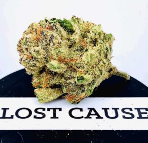 Lost cause strain
